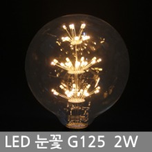LED 에디슨전구 / 씨티 LED 눈꽃전구 G125 2W E26